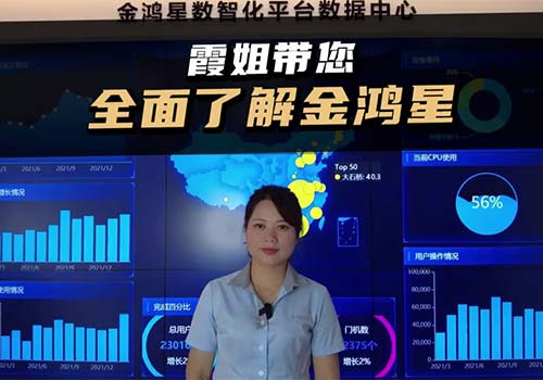 霞姐带您全面了解金鸿星